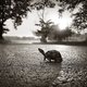 schatze322's picture
