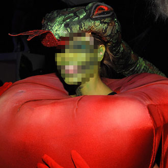 Celebrity Halloween Costumes 2008-10-31 06:10:16