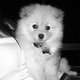 sjivs131's picture