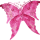 Pinkmariposa Pinkmariposa