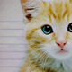 moxierain's picture