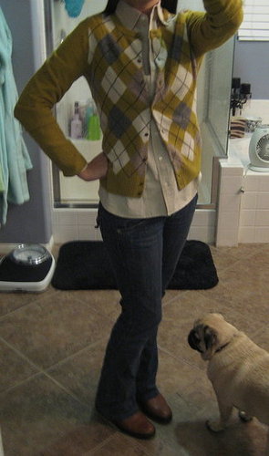 argyle makes me happy