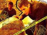 CSI Miami / Vegas