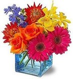Flowers & Landscape