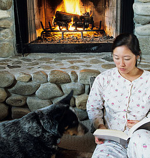 Do Tell: Share Your Favorite Pet Training Books!