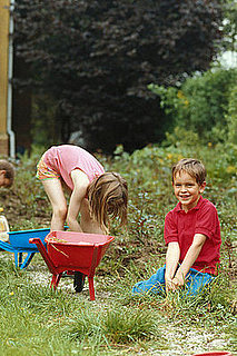 Ask Casa: How to Kill Weeds (Without Herbicides)