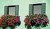 How-To: Hanging a Window Box