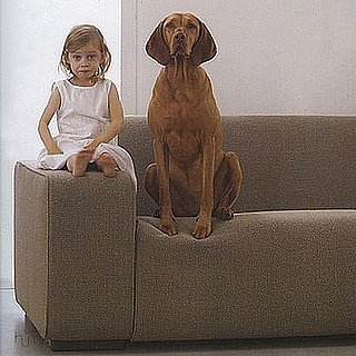 Midday Muse:  Kids and Dogs