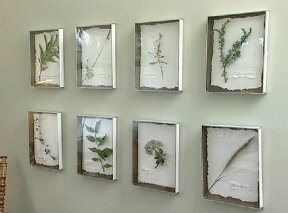 DIY: Botanical Prints