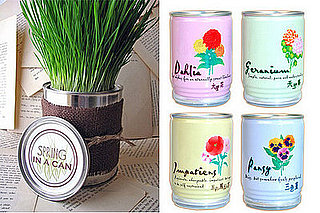 Cool Idea: Can o' Plants