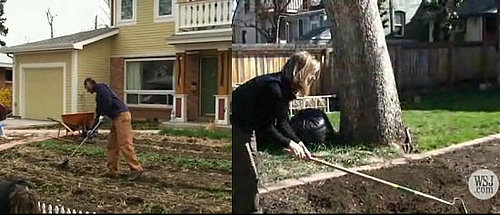 In the News: Farms Sprout in Suburbia