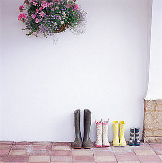 Do You Have Hanging Plants?
