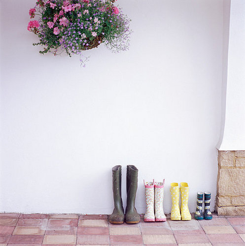 Do You Have Hanging Plants?