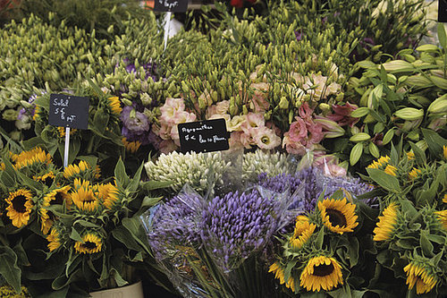 Where Do You Buy Your Flowers?