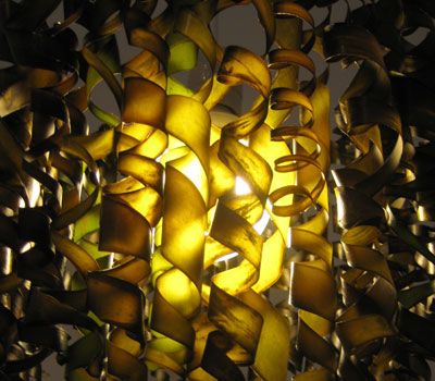 Guess What This Lamp Is Made From
