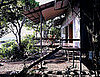 Casa Verde: A Green Retreat