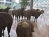 Midday Muse: Sheepies Phone Home