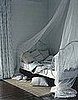 Midday Muse:  Awash in Whites