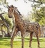 Would You Pasture This Pony in Your Garden?
