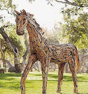 Would You Pasture This Pony in Your Garden?