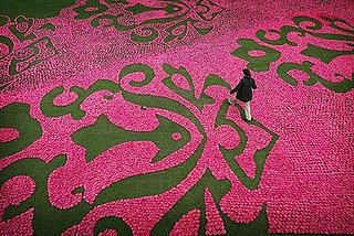 Midday Muse:  Damask in Blooms