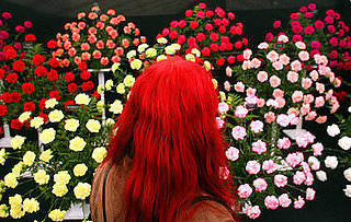 Midday Muse:  Best in Show