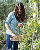 How-To: Ten Garden Uses For White Vinegar