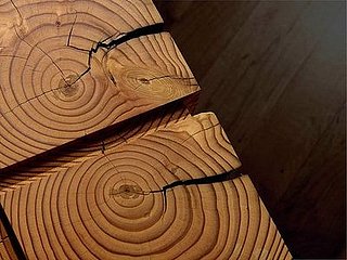 Casa Shops: The Joinery