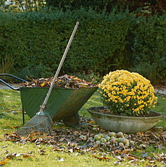 Garden Therapy: Leaf Relief