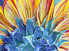 Su Casa: Sunny Days and Beautiful Blooms