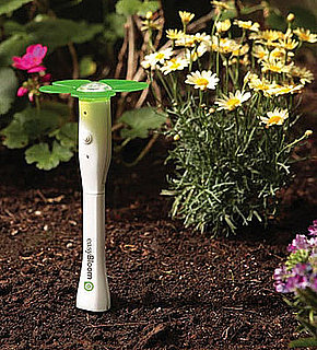 High-Tech EasyBloom Helps Your Geeky Garden Grow
