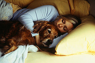 Do You Snuggle Up on the Sofa?