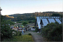 Would You Get Married on a Farm?