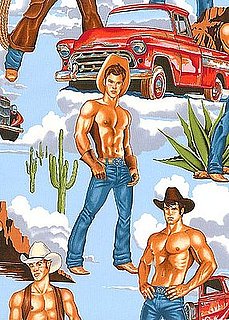Product of the Day: Hunky Cowboy Fabric