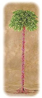 Love It or Hate It? Pink Tinsel Christmas Palm Tree