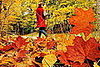 Do You Spend Time Outdoors at Thanksgiving?