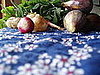 Open House: Winter in the Garden