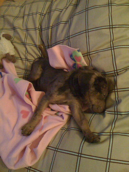 Sleepy boy