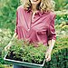 Plant an Herb Garden 