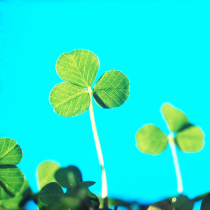 Do Tell: Do You Consider Yourself Lucky?