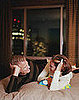 Dear Poll: Do You Look For Romance or Friendship? 