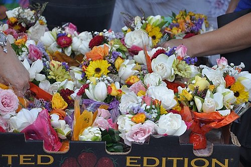 Fragrant flowers Fragrant flowers