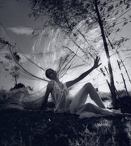 Model Muse: Veruschka Model Muse: Veruschka