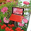 The Vivienne Tam Laptop Appears at Macy's Stores  