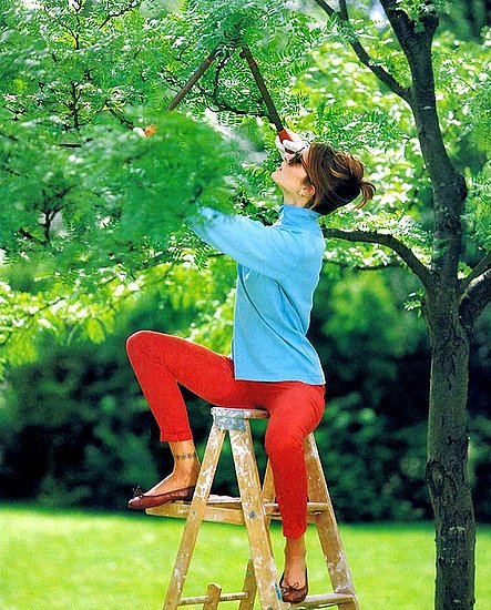 Model Muse: Stephanie Seymour Model Muse: Stephanie Seymour