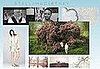 Stella McCartney Sells Summer 2009 Capsule Collection Exclusively at Net-a-Porter.com