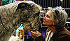 PetSugar Weekly Recap 2009-02-14 03:00:53