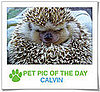 Pet Pics on PetSugar 2009-03-04 09:30:03