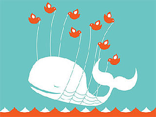 Follow Twitter Etiquette and Find Out What Not to Twitter