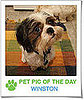 Pet Pics on PetSugar 2009-03-20 09:30:42